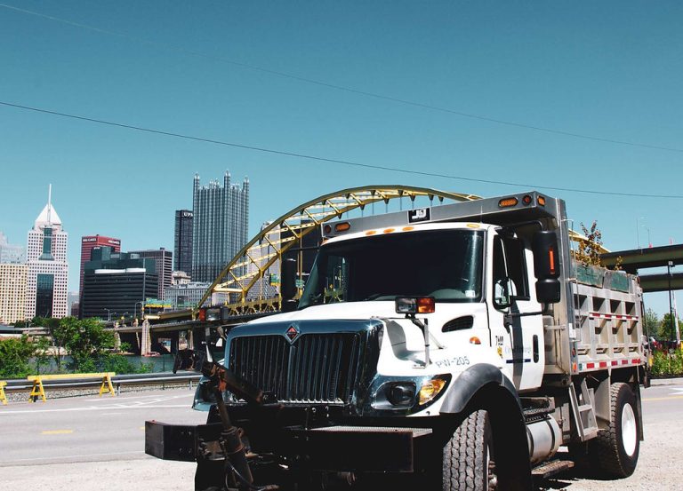 Pure Biodiesel